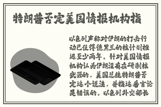 寒假作业张婉莹1080p